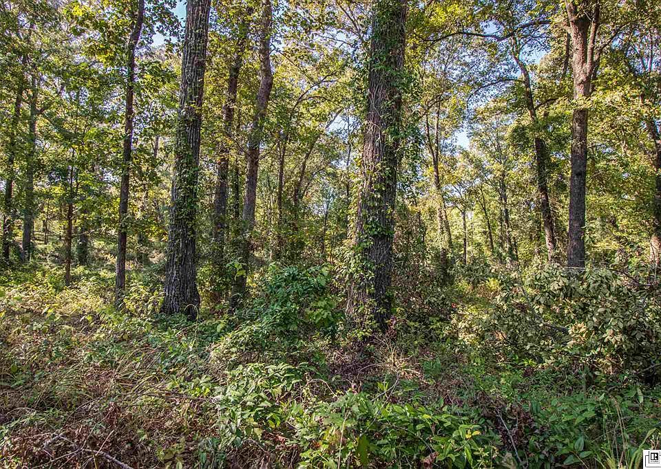 0 Caples Rd, West Monroe, LA 71292 Zillow