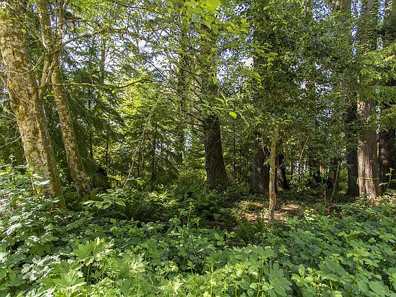 4th image of Ross Ln
