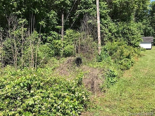 2nd image of 000 Pheasant Ln
