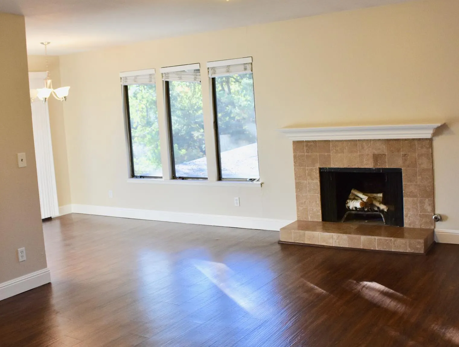 2 bed, 1100 sqft, $2,675 — Photo 3