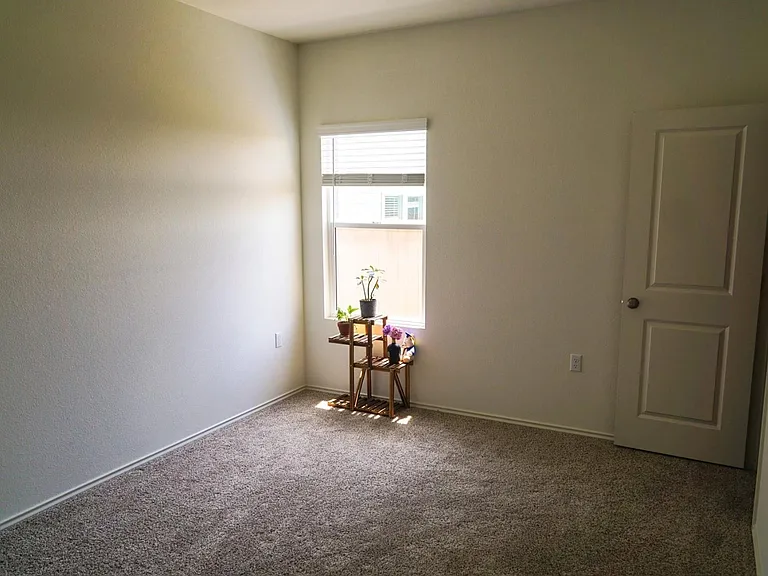 2321 Forgetmenot Ln — Photo 21