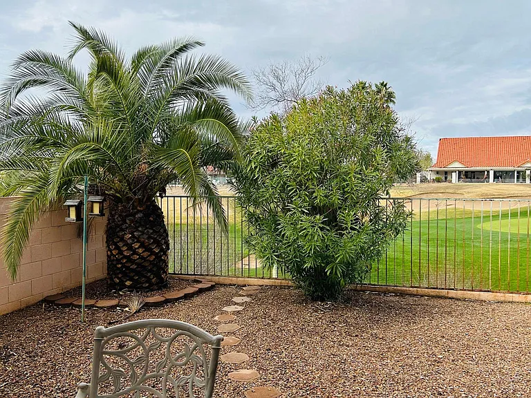 11159 N Desert Flower Dr — Photo 9