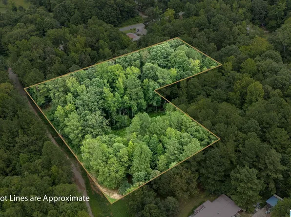 0 Penny Ln #1, Odenville, AL 35120