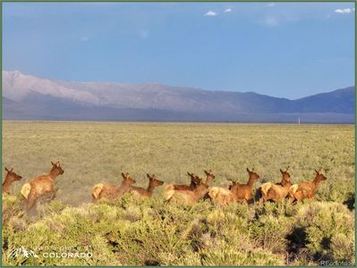 8397 N 2 Lane, Mosca, CO, 81146