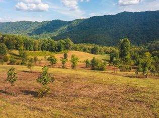 War Creek Rd, Eidson, TN 37731