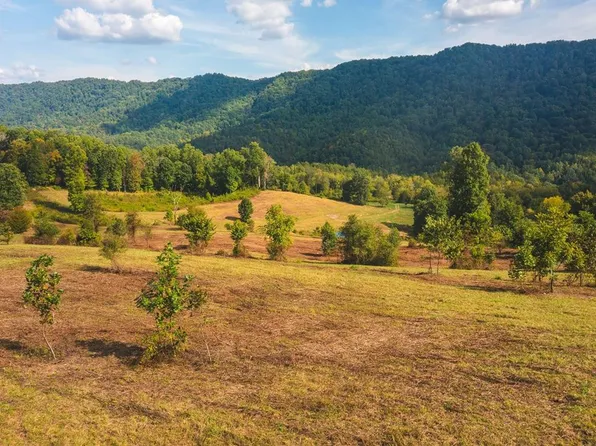 War Creek Rd, Eidson, TN 37731