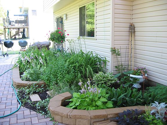 Backyard gardens - inbetween cement patio and paver patio below the deck