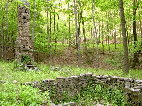 Preserve at New Creek Lake