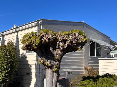 386 Circulo La Cruz, Rohnert Park, CA, 94928