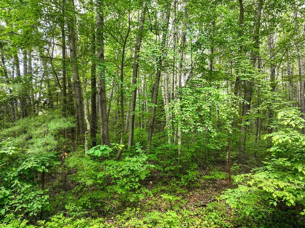 On Cottage Rd, Tomahawk, WI 54487