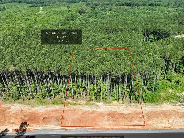 (undisclosed Address), Mabelvale, AR 72103