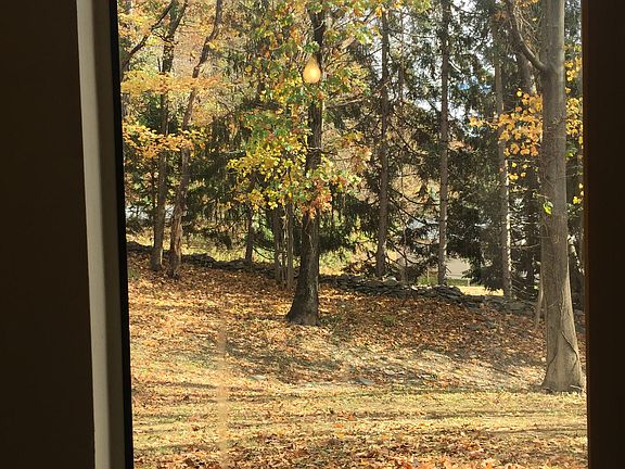 View out windows to wooded space