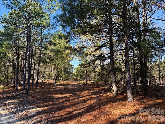 3rd image of 164 Haines Rd