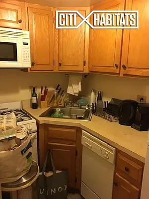 Rented by Citi Habitats | media 23