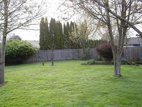 Back yard looking SE