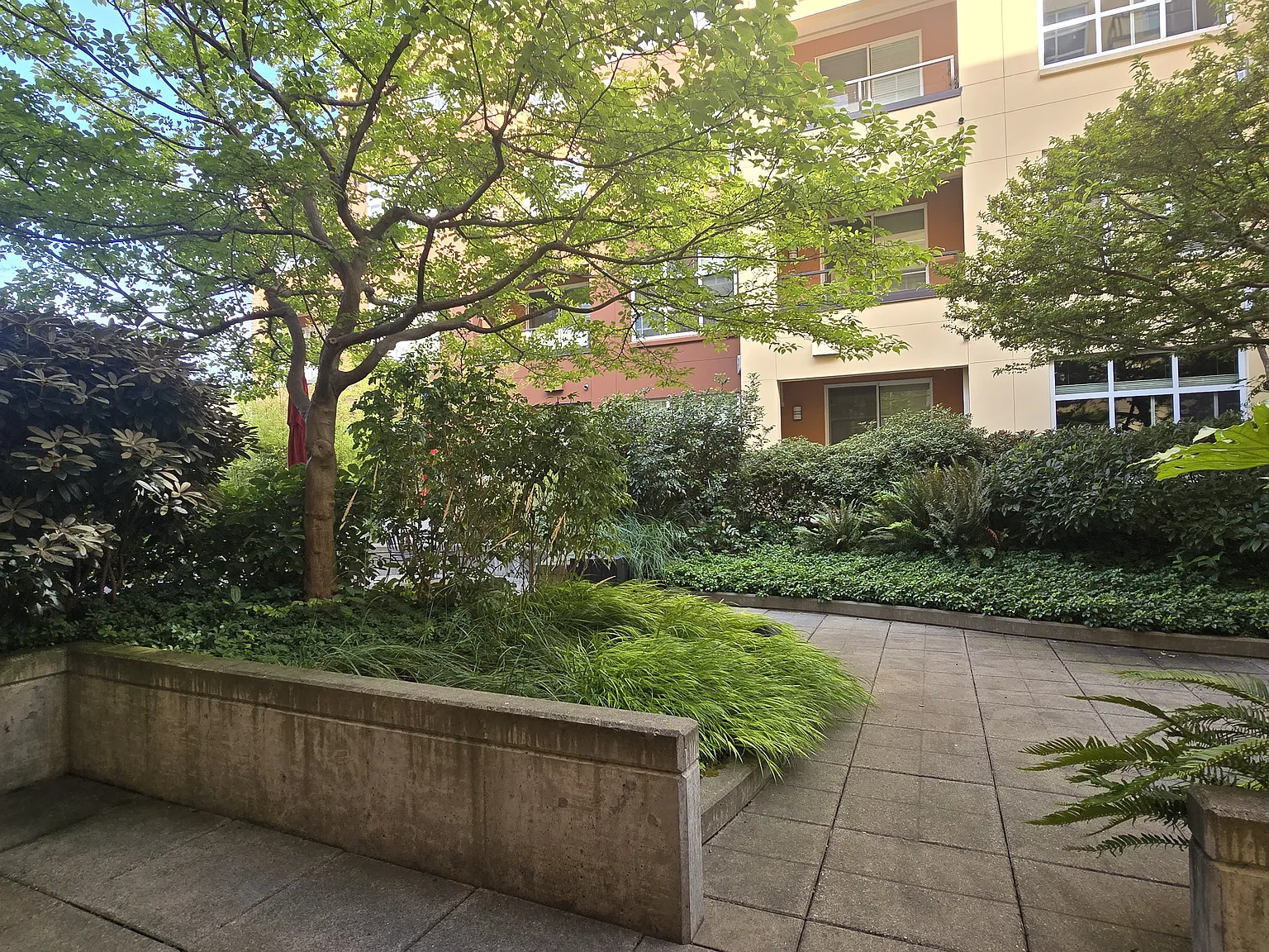 1 bed, 665 sqft, $2,150 — Photo 2