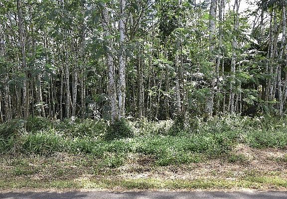 5th image of 29th Ave Lot 207