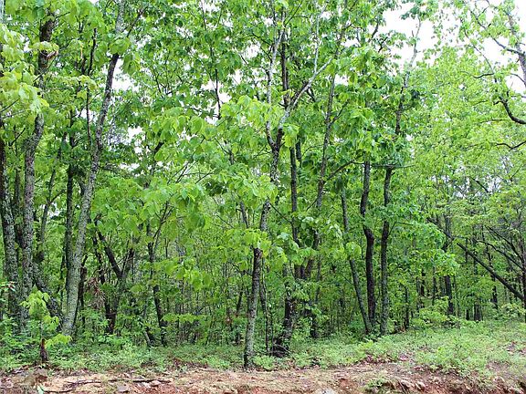 2nd image of 0 Mountain Crest Dr #165