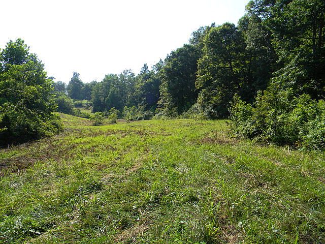 1st image of 11 Ac Gainesboro Grade