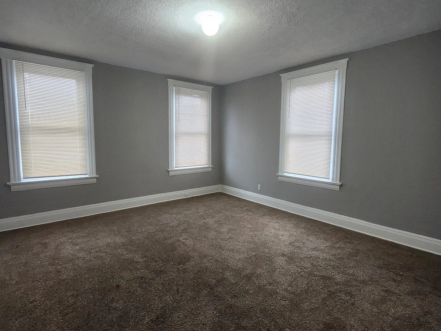 40 Wuest St — Photo 3