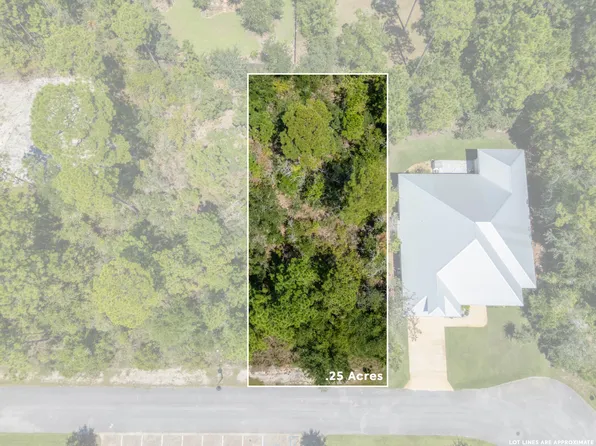 53 Sun Bear Cir, Freeport, FL 32439