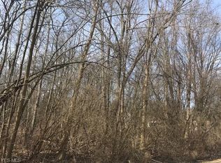 Carruthers Rd, Tallmadge, OH 44278