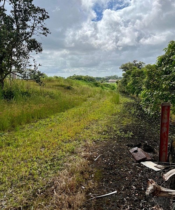 174115 Huina Rd, Kurtistown, HI 96760 Zillow