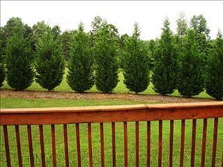 4th image of 3504 Vernon Woods Dr