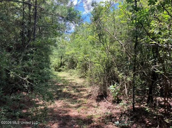 State Highway 48 Lot 1, Sandy Hook, MS 39478