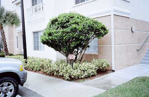 2nd image of 2111 E Myrtlewood Circle #2111