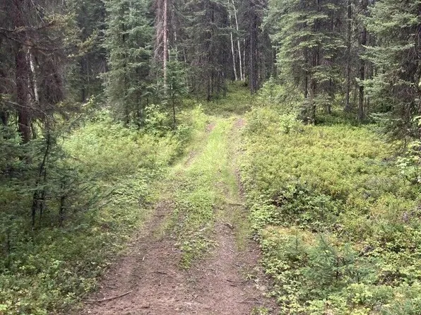 A003 N Kerrylynn Ln, Wasilla, AK 99623