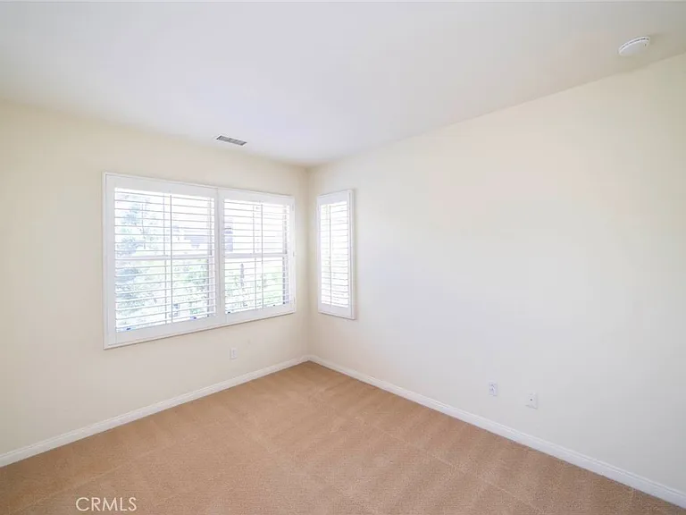 33 Bromeliad — Photo 16