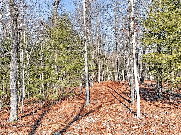 5th image of 0 Proctor Place Rd