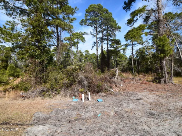 2202 Caracara Dr Lot 319, New Bern, NC 28560