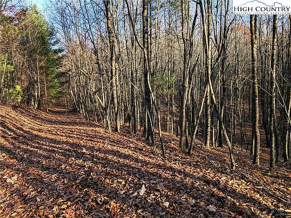 4th image of TBD Slingshot Lane