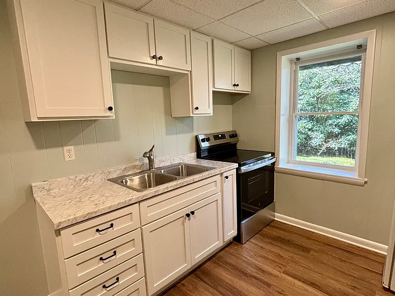 183 White Dogwood Ln — Photo 4