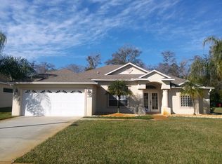 3787 Birch Mountain Rd, Pt Orange, FL 32129