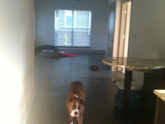 Living Room facing balcony