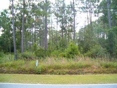 McDaniels Fishcamp Rd, Freeport, FL, 32439