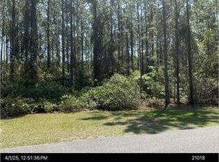 115 Tacatacoru Ct, Saint Marys, GA 31558