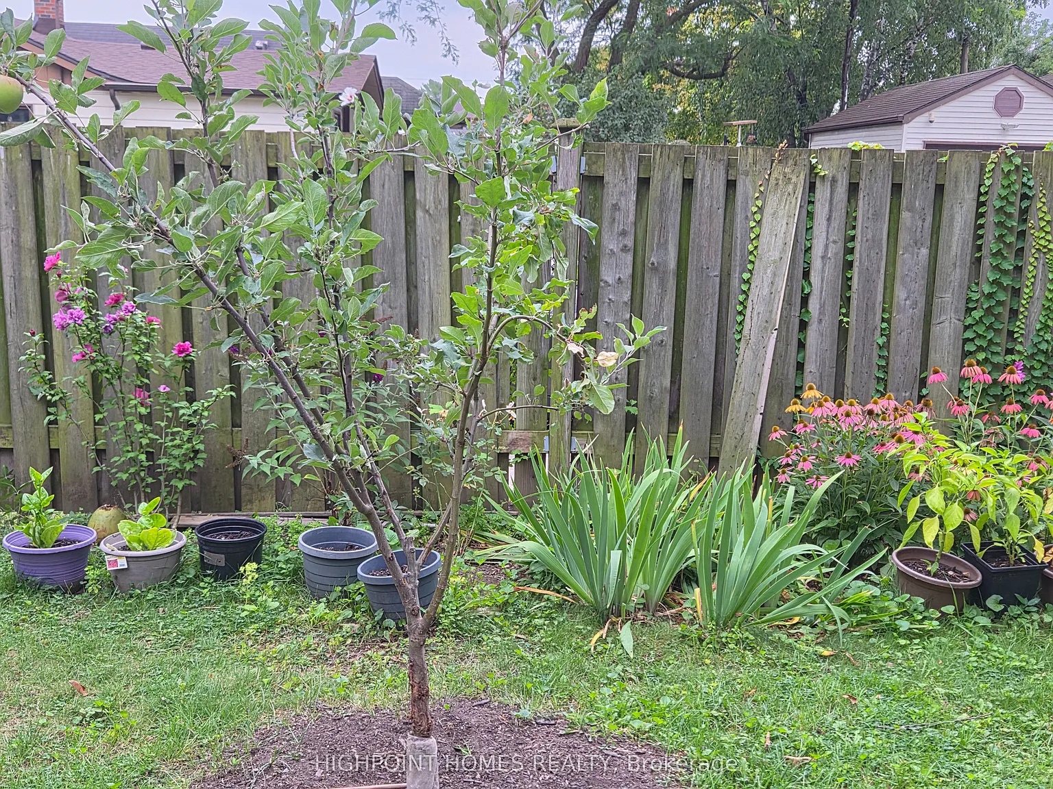 2 bed, $1,350 — Photo 2