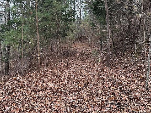 2nd image of 306 Oberlin Ct