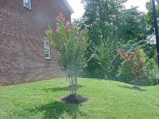 3rd image of 621 Yorkland Way Lot Unit