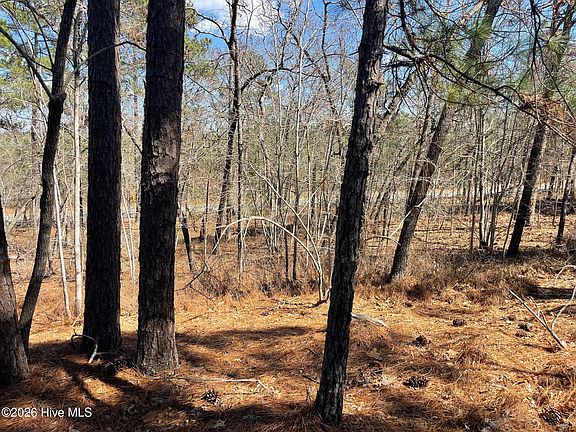 3rd image of 445 Longleaf Drive LOT 5583R