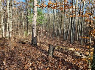 82 E Skyline Dr, Roscommon, MI 48653