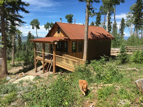 153 Overlook Way, Placerville, CO 81430