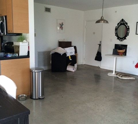 3rd image of 1701 Sunset Harbor Dr APT 308