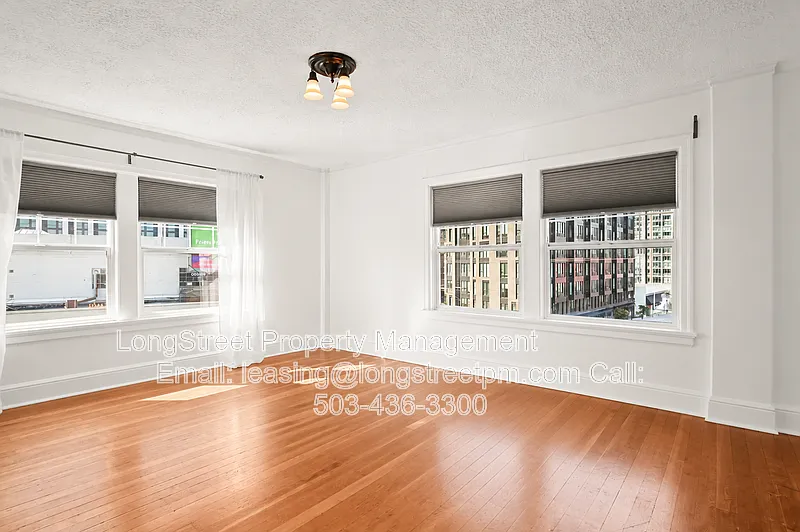 Studio, 1.0 bath, 335 sqft, $1,195 — Photo 4
