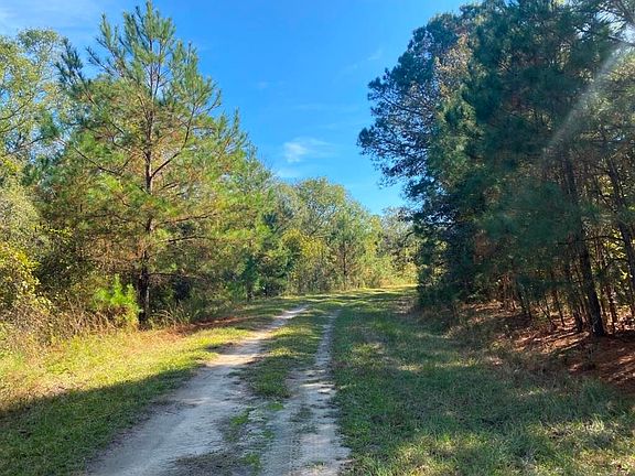 4th image of County Line Rd