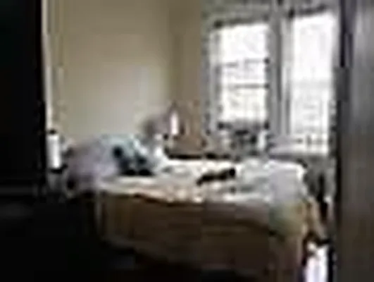 Rented by Alexiou Realty | media 25